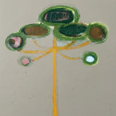 Brasil Profundo Paraná