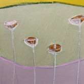 Brasil Profundo Tocantins