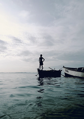 Lobo do Mar