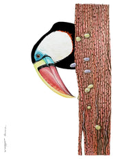 Tucano Açaí