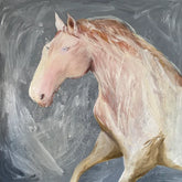 Lusitano