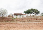Casinha Branca