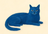 Gato Azul