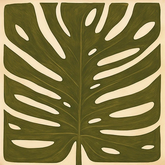 Monstera