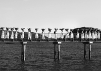 Cortejo para Pedra da Baleia