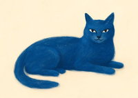 Gato Azul
