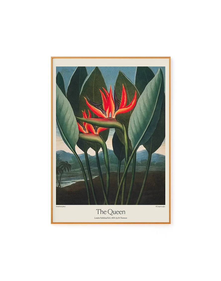 The Queen by Dr. R. Thornton