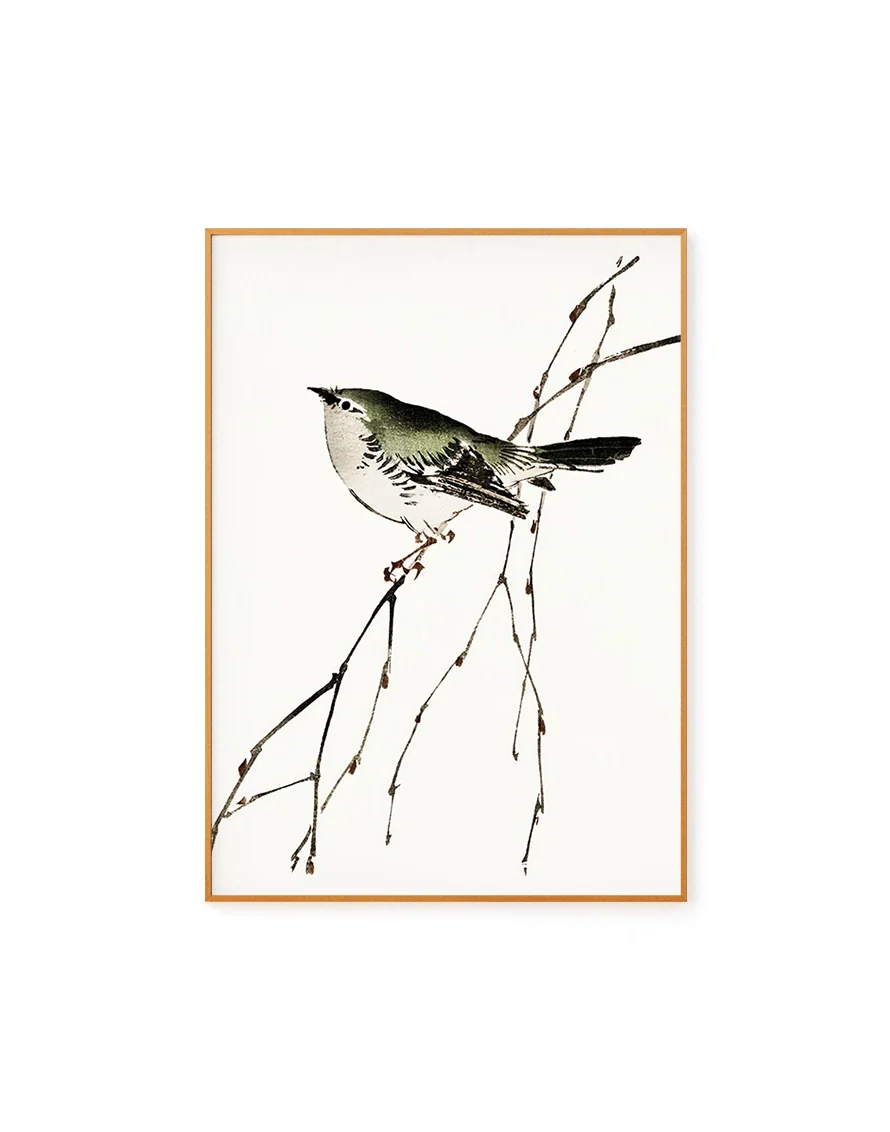 Bird Illustration by Kono Bairei