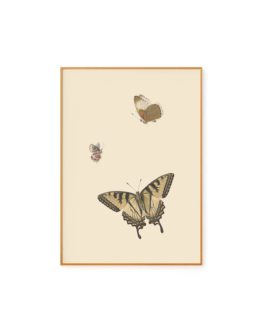 Butterflies I